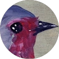 Nicole C. Avatar