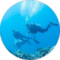 Natalie S. Avatar